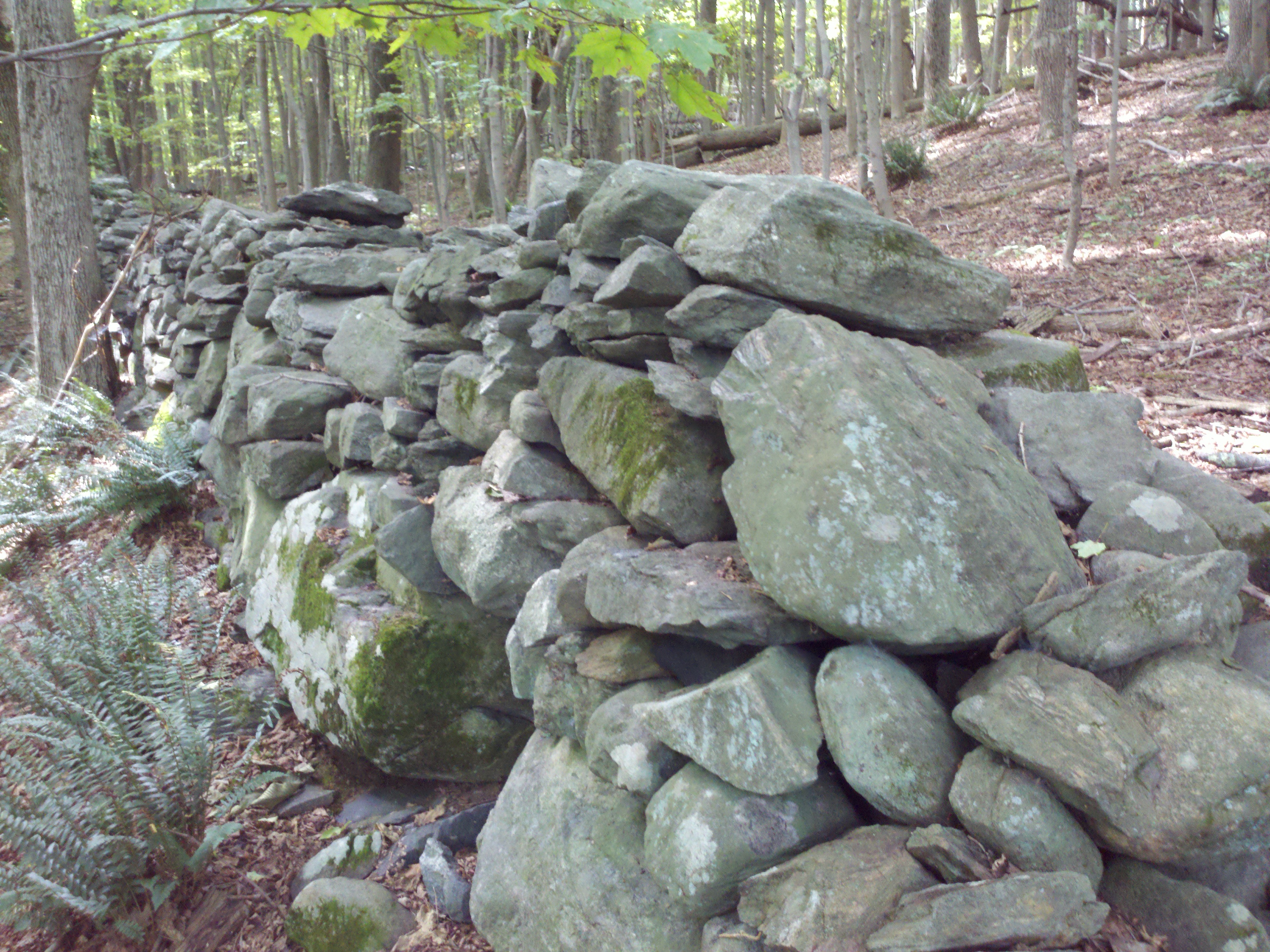 Image result for nh stone walls