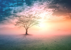 Spiritual,Healing,Life,Concept:,Silhouette,Alone,Tree,On,Beauty,Meadow